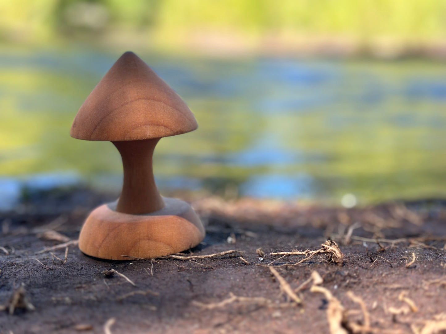 Pointy Cap Mushroom