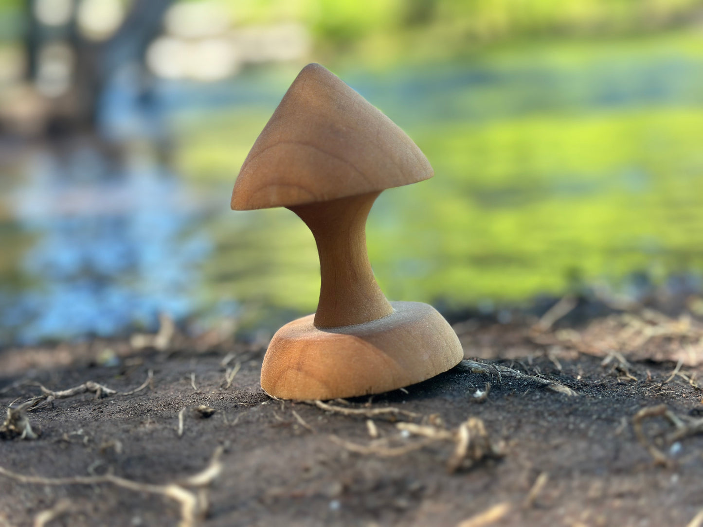 Pointy Cap Mushroom