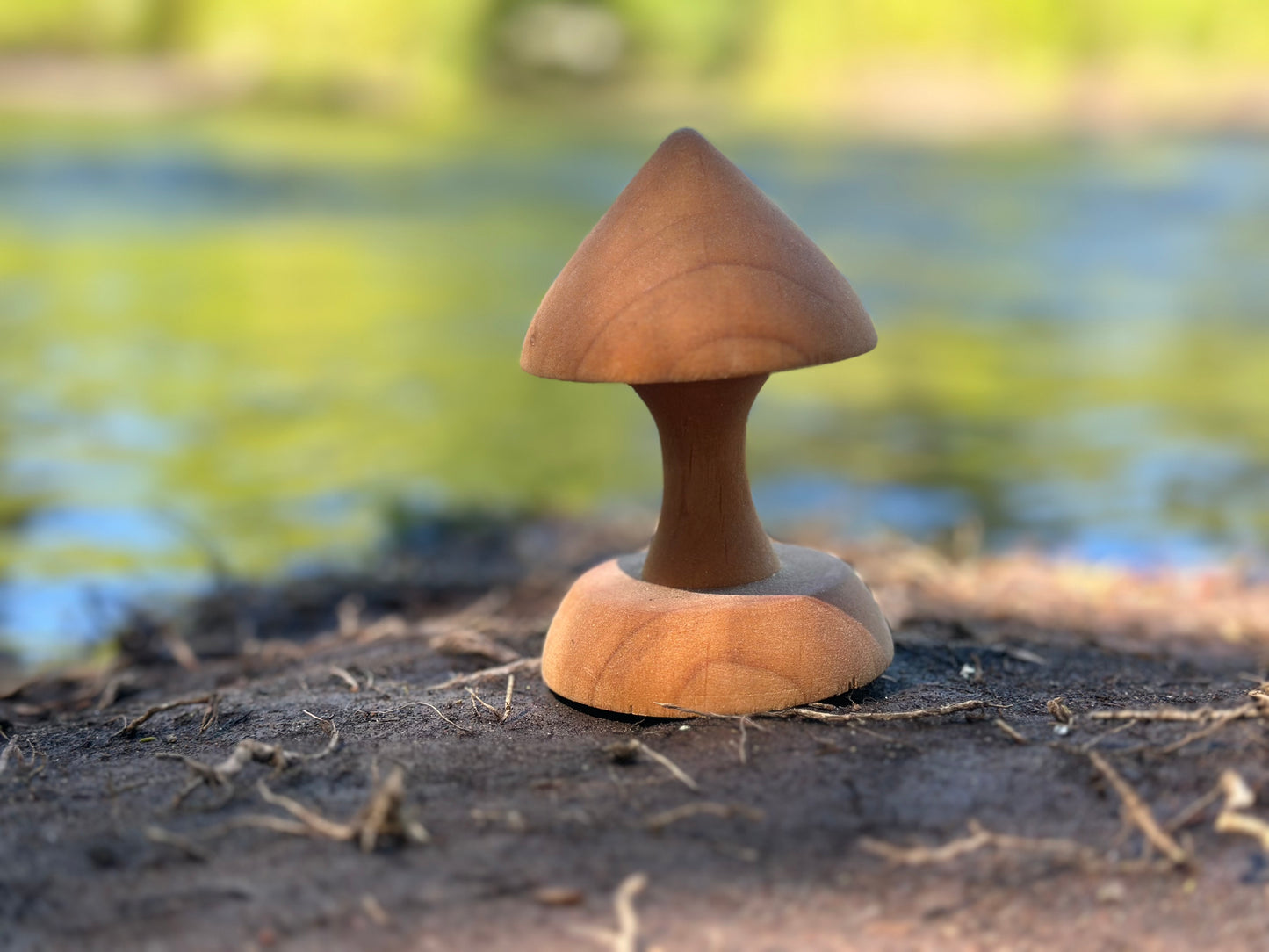 Pointy Cap Mushroom