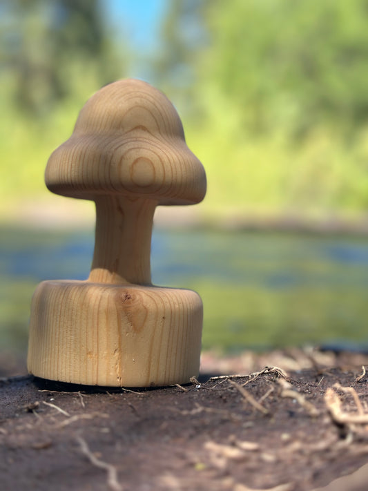 Baffling Bell-Shaped Mushroom