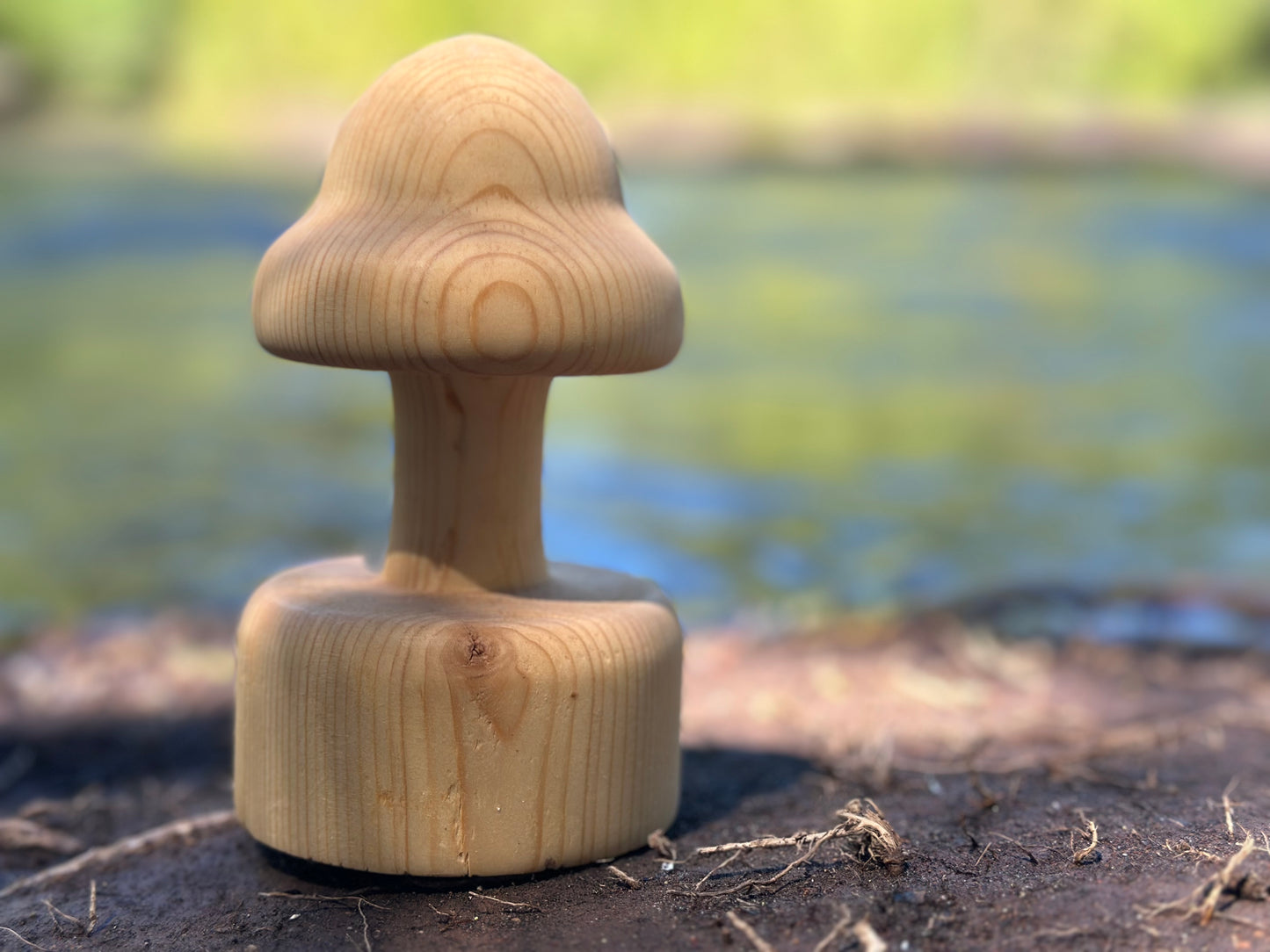 Baffling Bell-Shaped Mushroom