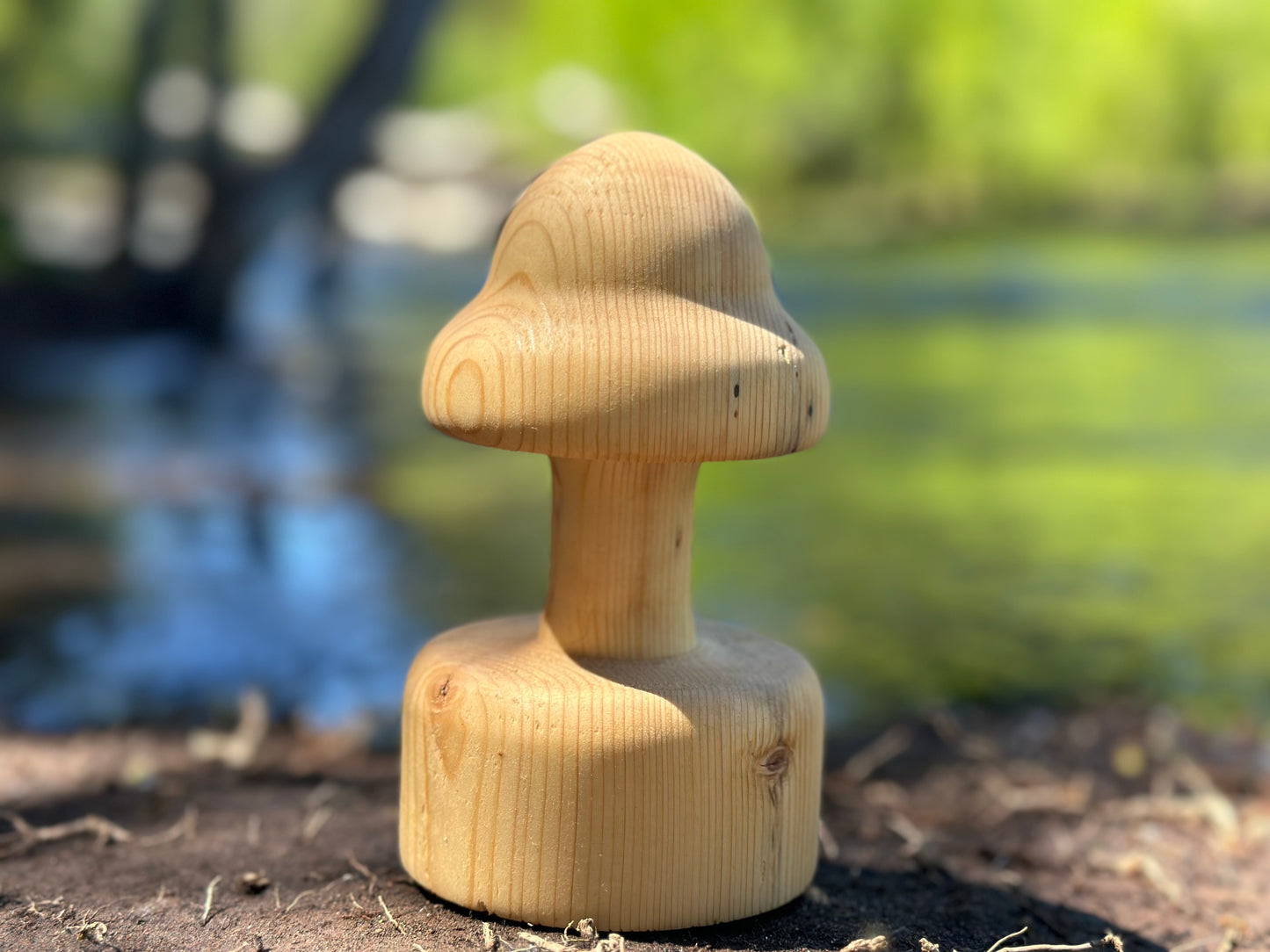 Baffling Bell-Shaped Mushroom